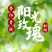 #林农鼠醉田#鼠醉田农场晴王阳光玫瑰3斤无籽青