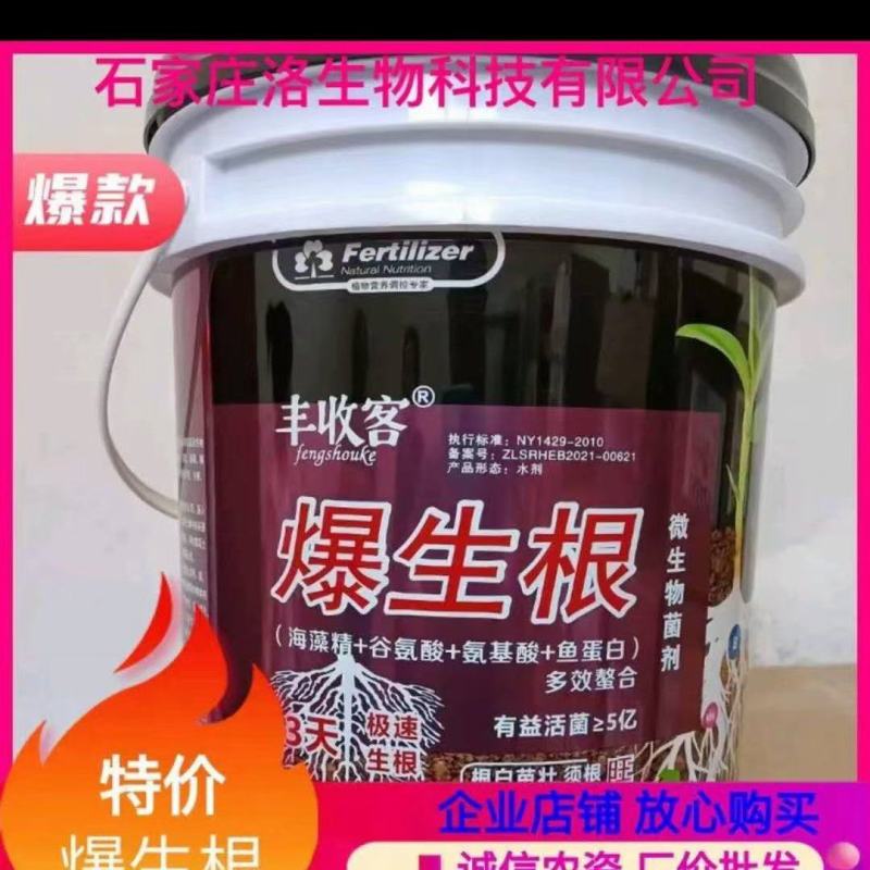 爆生根微生物菌剂极速生根生根壮苗，疏松土壤