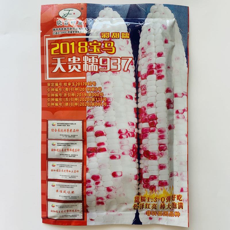 晓富2018宝马彩甜糯玉米种籽高产春季大田甜糯玉米种彩色