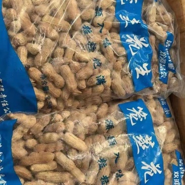 笼蒸花生地摊江湖火爆单品厂家一手货源批发直销