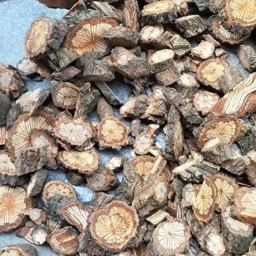 红藤大血藤资源减少产地货源