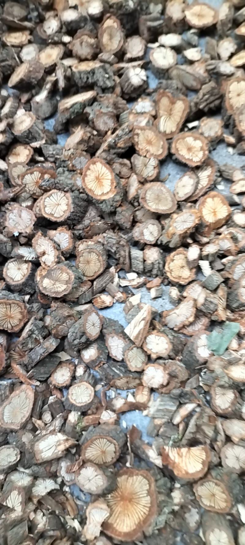 红藤大血藤资源减少产地货源