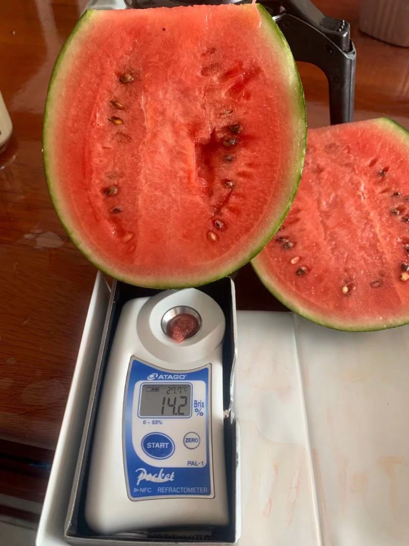 砀山县万亩大棚2K，京颖早春红玉西瓜，皮薄口感甜耐运输。