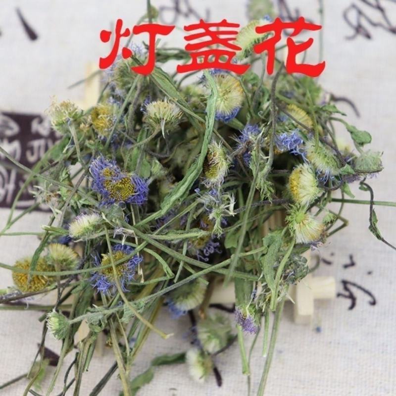 灯盏花新货云南野生中药材灯盏花灯盏花细心包邮