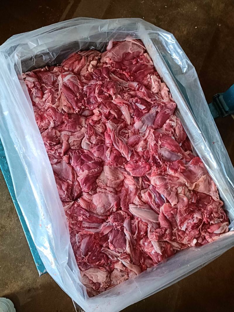 羊板肉纯干不调理。全国发货常年大量供应，羔羊腿肉