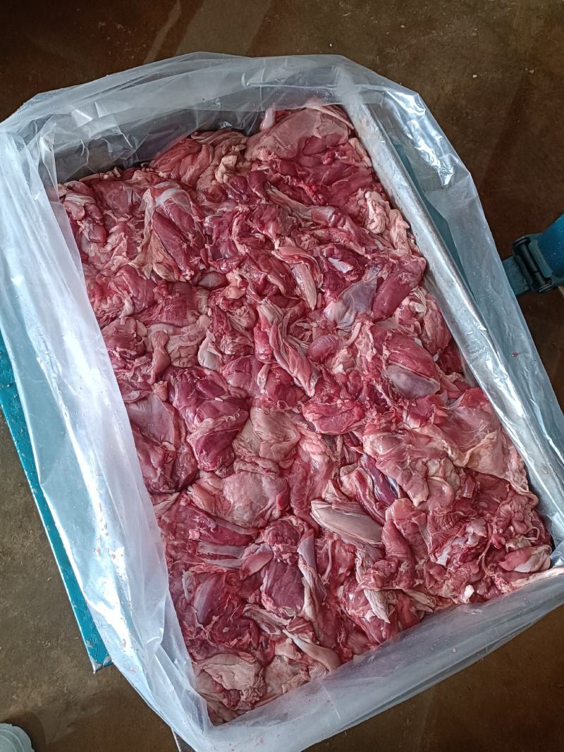 羊板肉纯干不调理。全国发货常年大量供应，羔羊腿肉