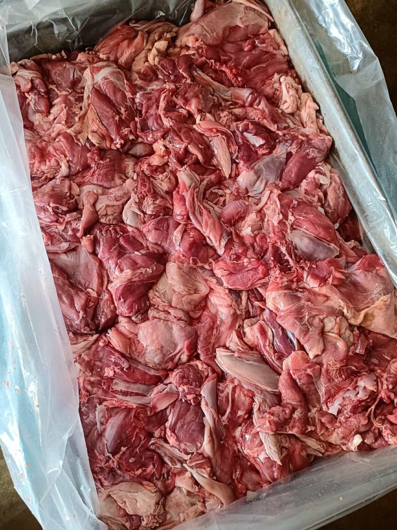 羊板肉纯干不调理。全国发货常年大量供应，羔羊腿肉