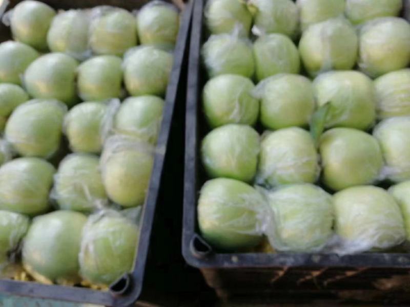 王林苹果，颜色青翠，口感好，耐储存，9月份上市