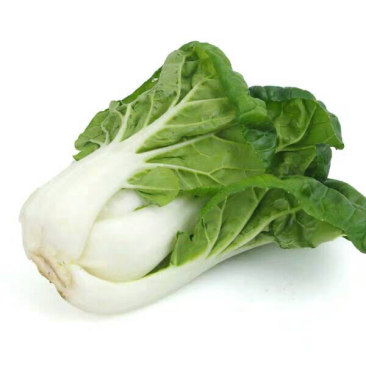 奶白菜