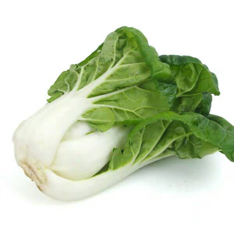 奶白菜