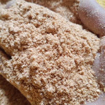 喷浆玉米皮饲料专用，玉米皮，玉米，玉米皮粉，降价了