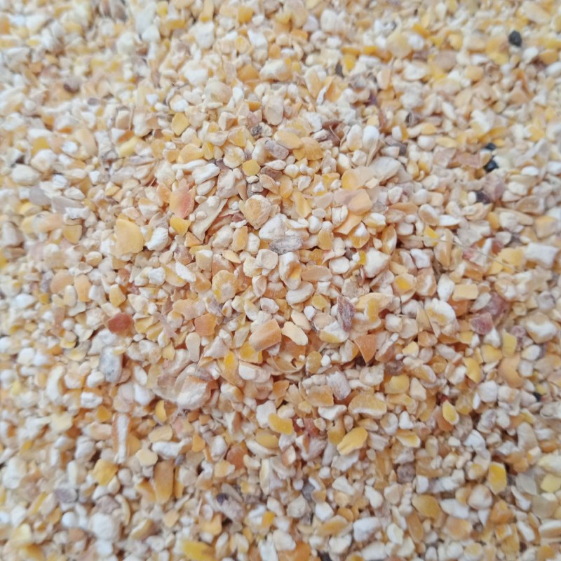 新玉米漏碎玉米玉米碎干玉米养殖专用饲料玉米下脚