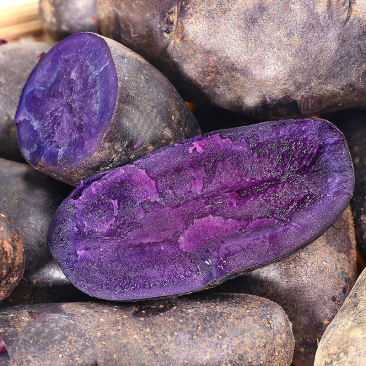 精品紫洋芋紫土豆原产地发货皮薄软糯有坏包赔