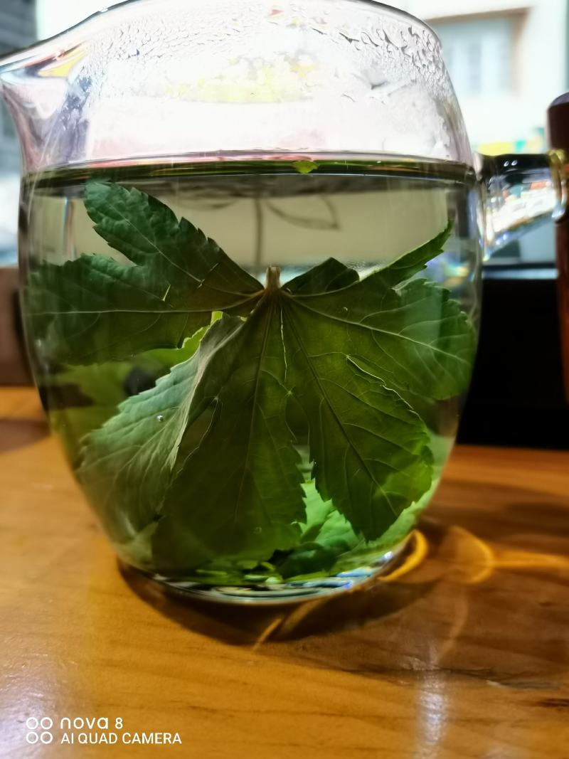 甜茶.刺儿茶
