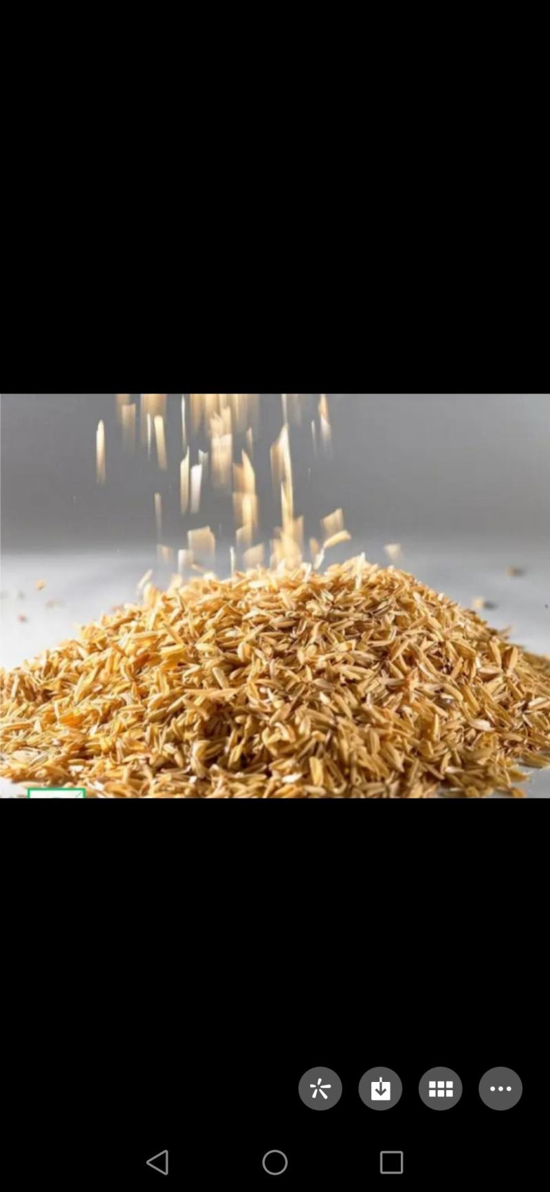 稻壳