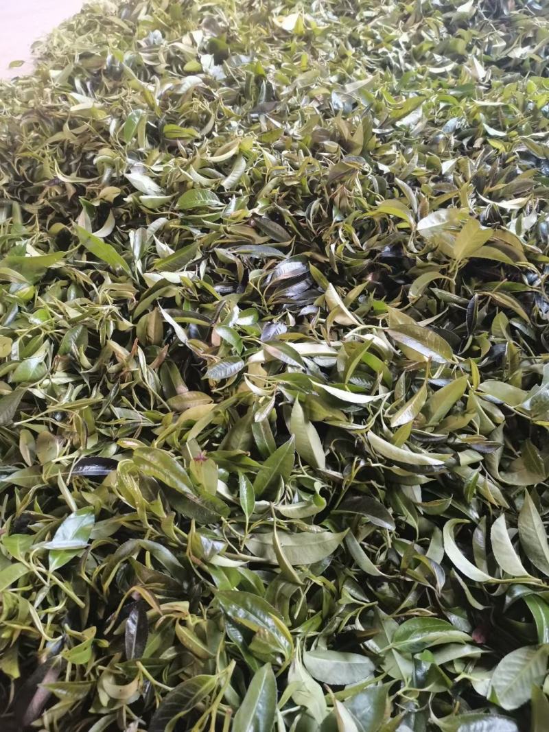 石岩茶