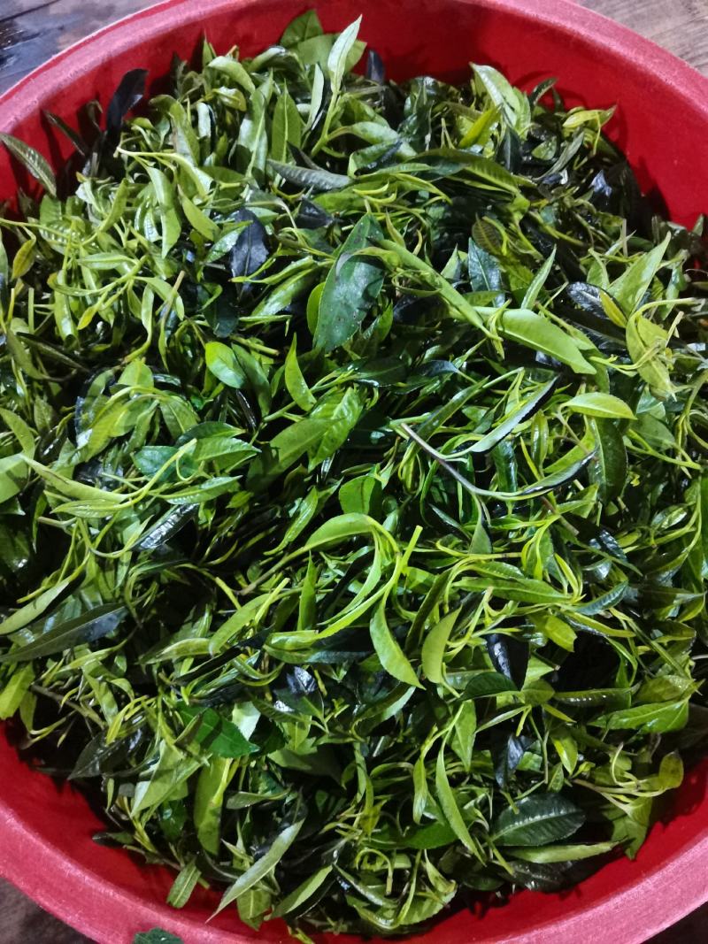 石岩茶