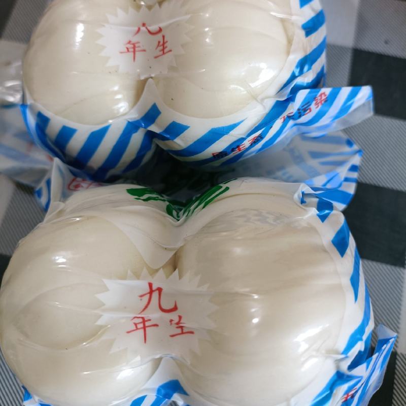 兰州鲜百合，九年生精品两头皇，产地直发，量大从优