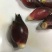 陕西安康特产洋荷姜新鲜阳荷姜顺丰包邮
