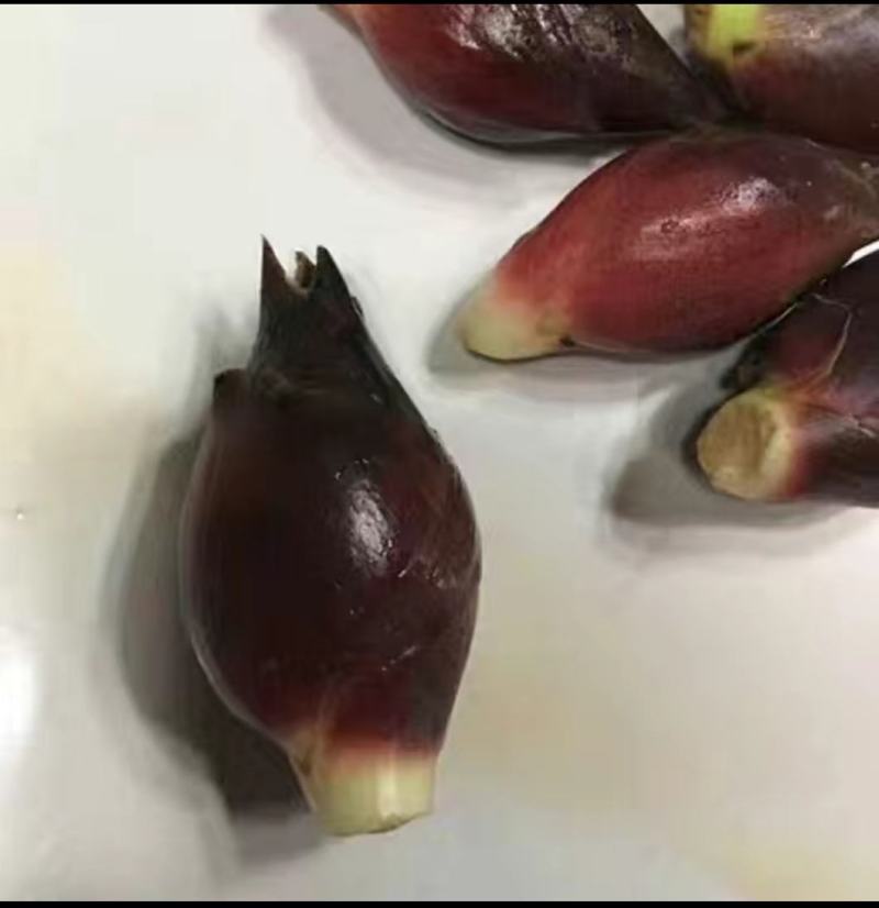 陕西安康特产洋荷姜新鲜阳荷姜顺丰包邮