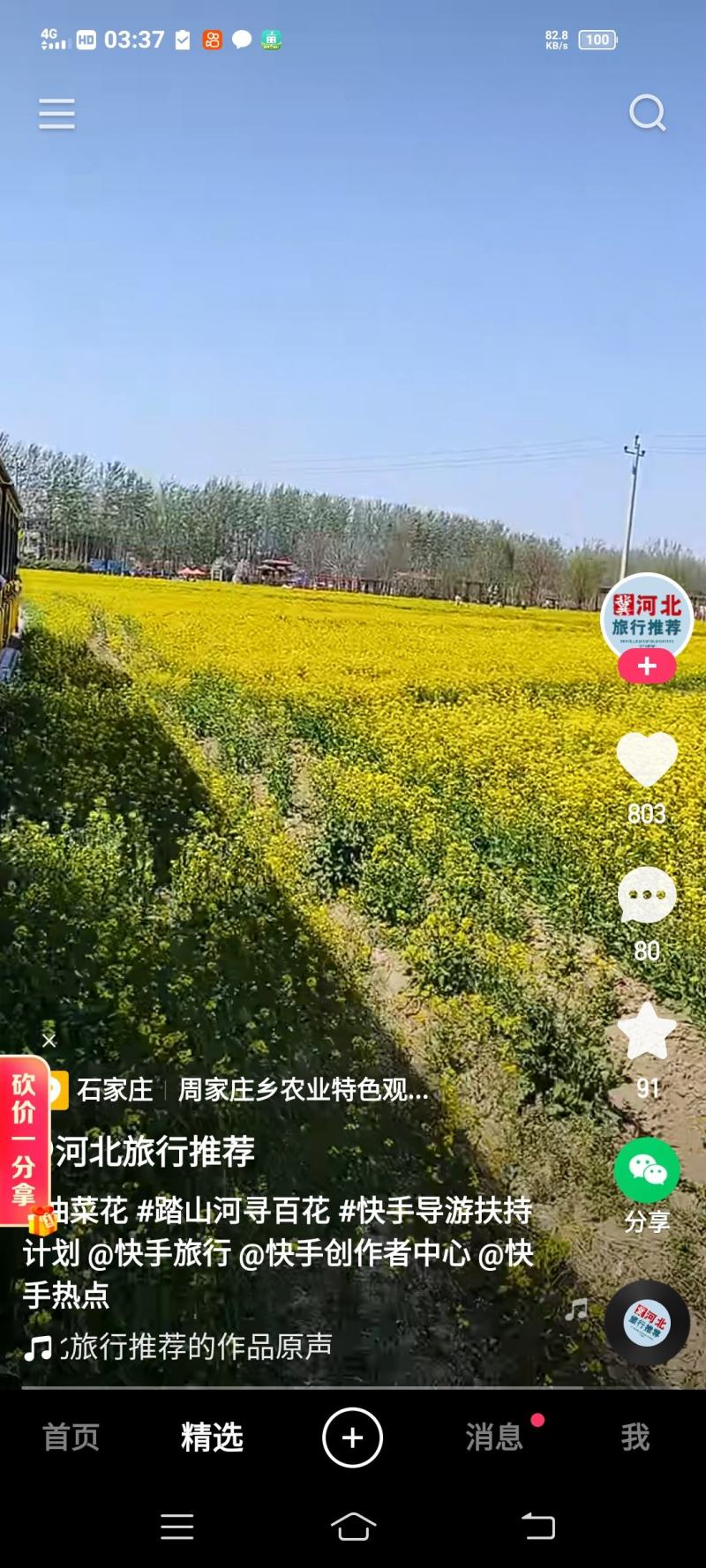 河北省邢台市油菜籽