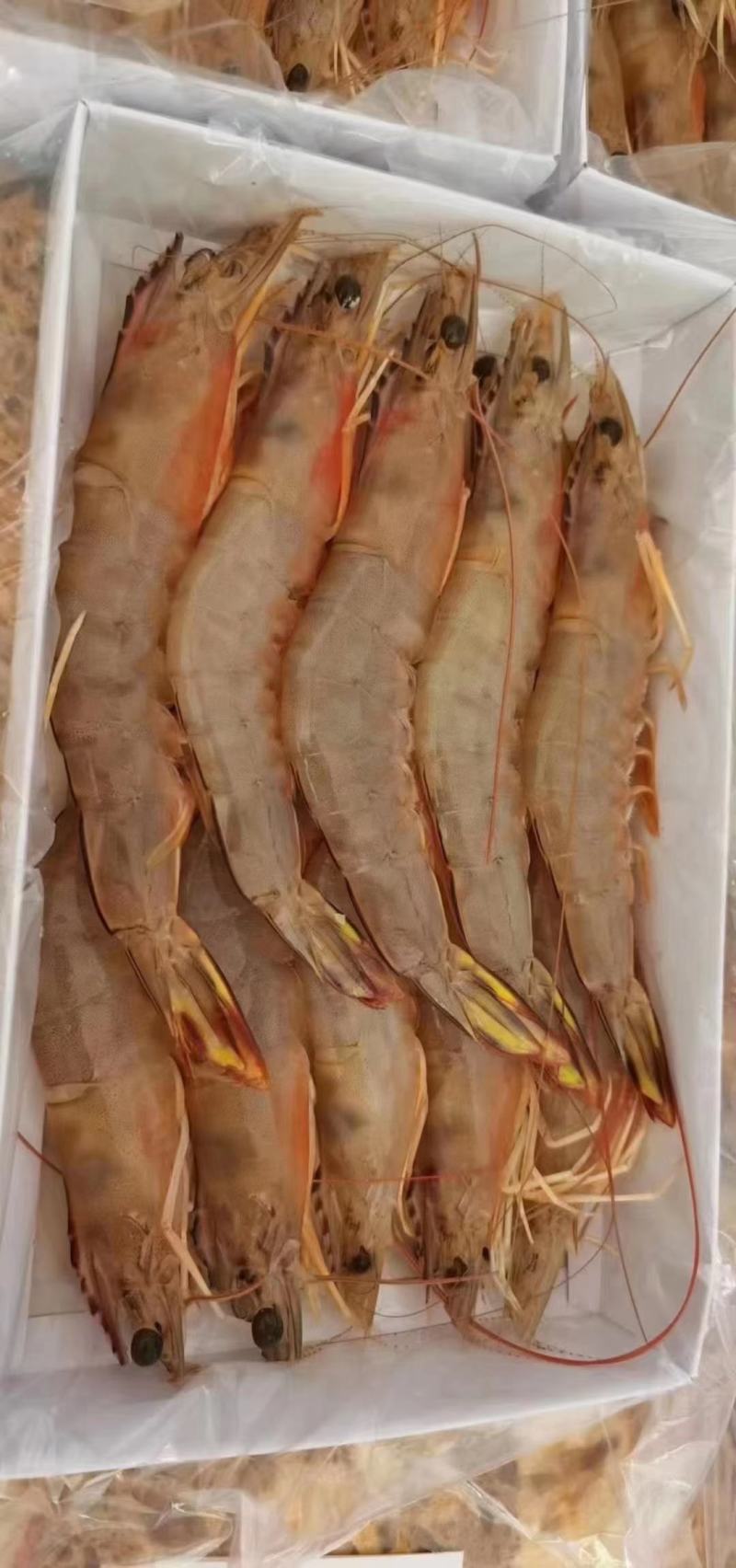 天然深海明虾，当晚捕捞上岸速冻锁鲜，肉质紧实，鲜美，