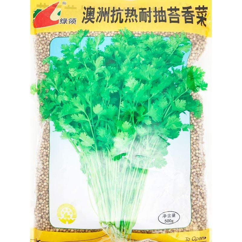 澳洲抗热耐抽苔香菜种子进口芫荽种子四季香菜原装500克