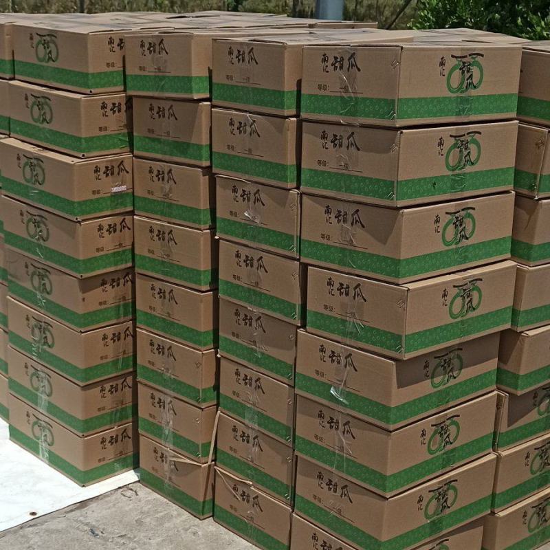 一件代发南汇玉姑甜瓜，品质保证，价格实惠，可送货上门