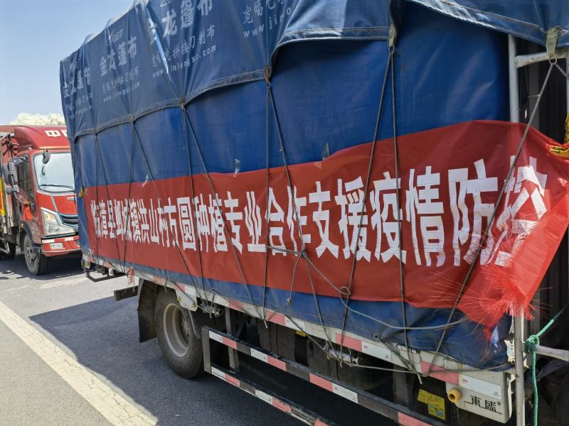 精品西葫芦万亩油绿色西葫芦条行好商超市场