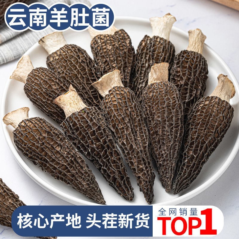 羊肚菌野生干货云南土特产食用菌新货煲菌汤食材香菇羊肚蘑菇