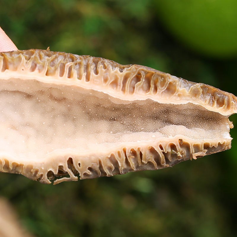 羊肚菌野生干货云南土特产食用菌新货煲菌汤食材香菇羊肚蘑菇