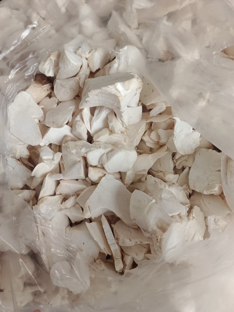 新鲜菇片长年供应产地直销