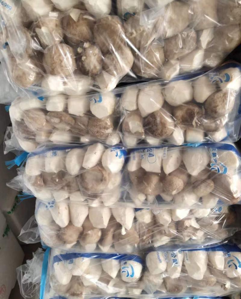 新鲜菇片长年供应产地直销
