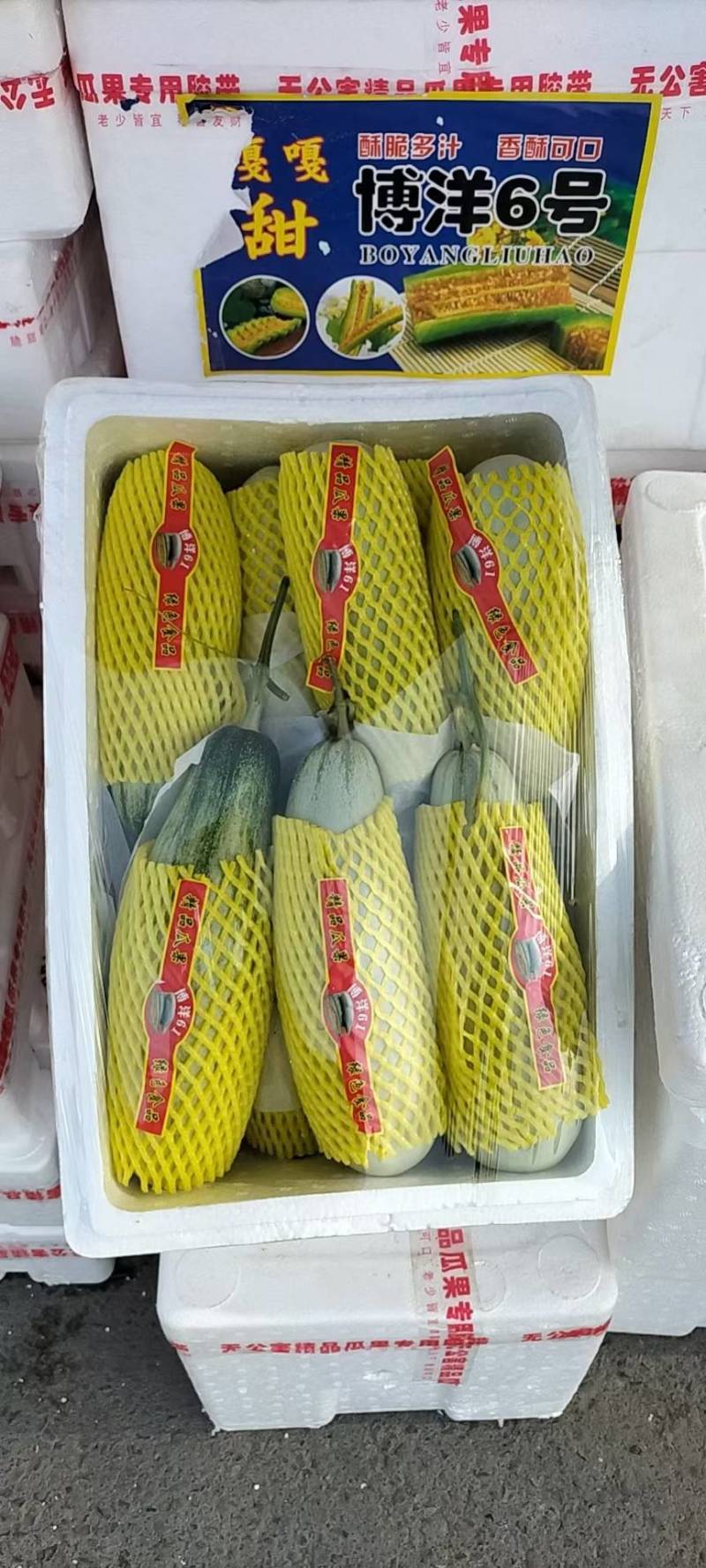 精品翠瓜