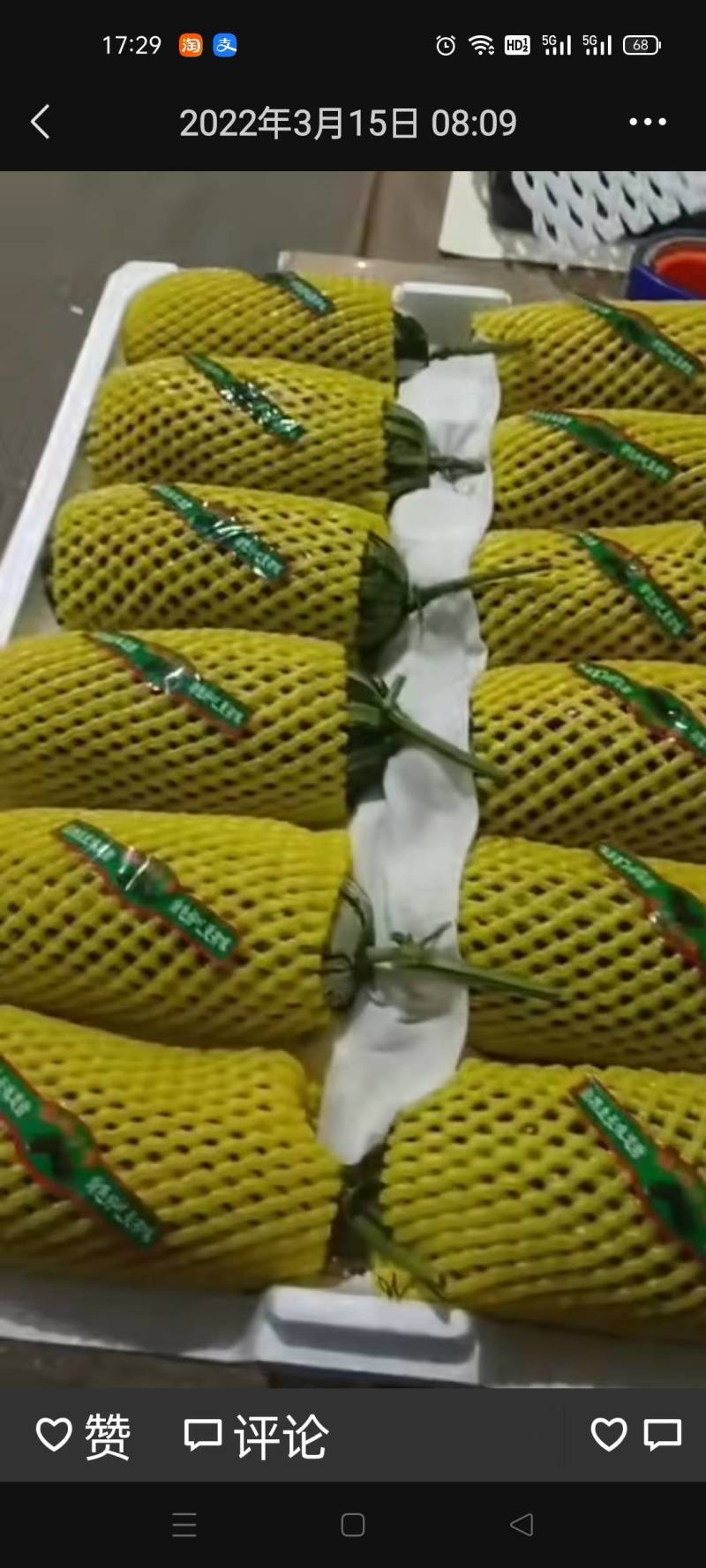 精品翠瓜
