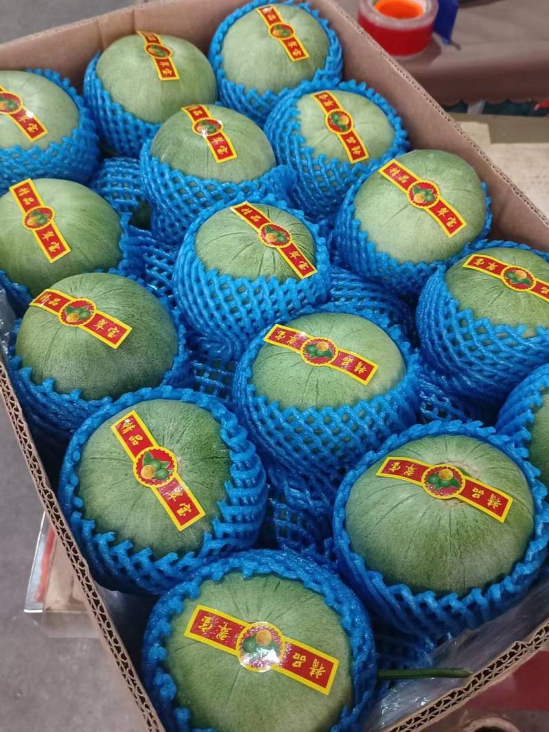 精品翠瓜