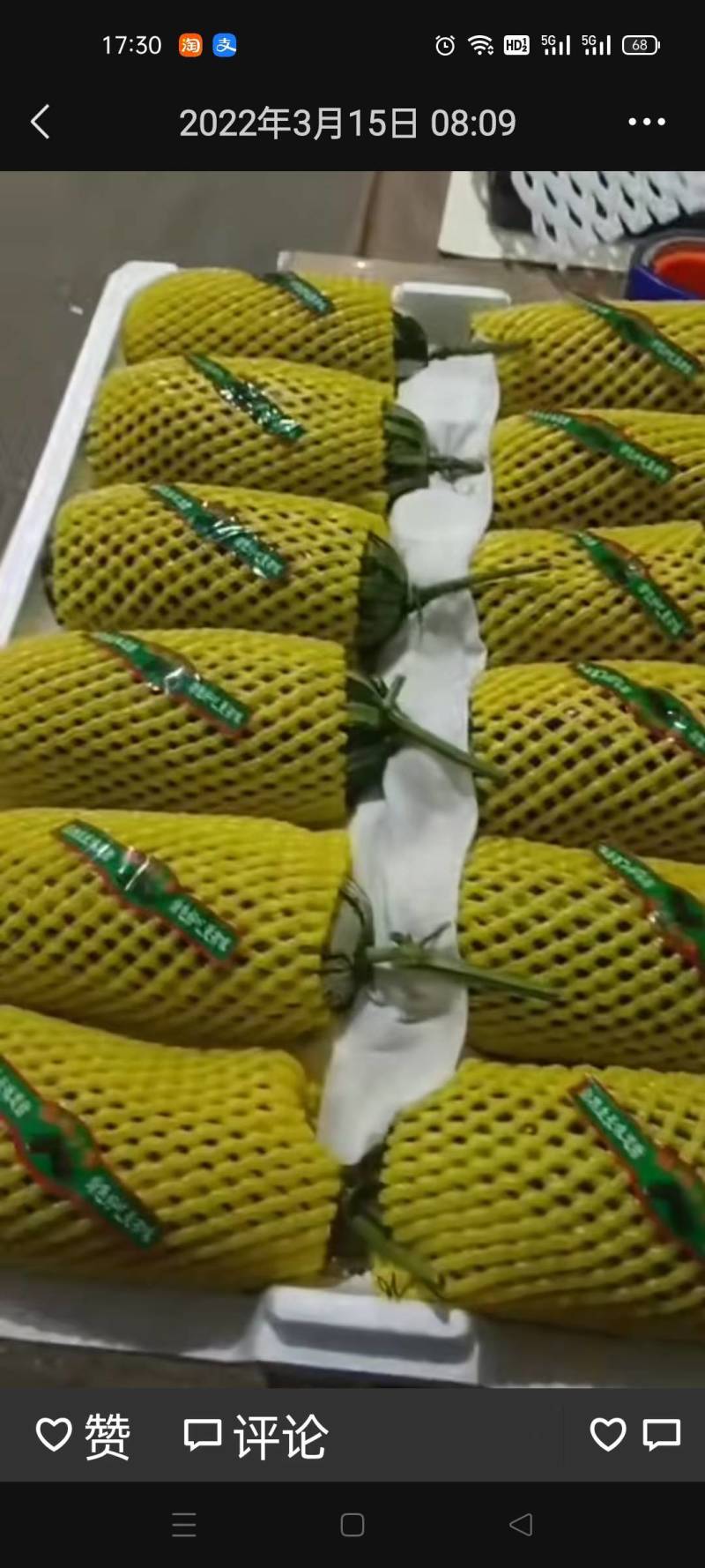精品翠瓜