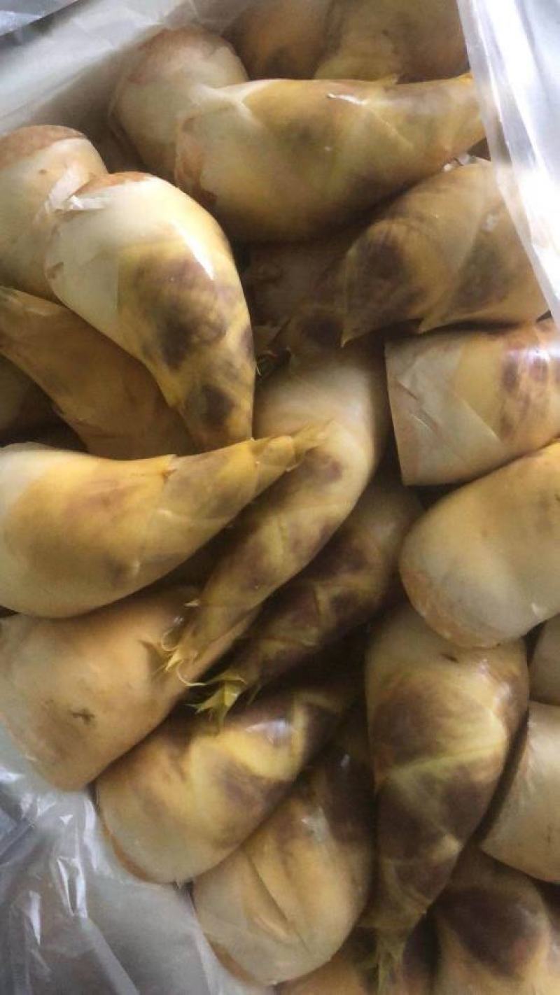 马蹄笋产地直销，价钱实惠，货源充足，欢迎采购