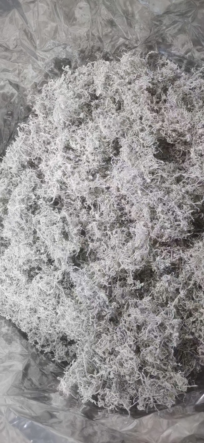 高山莓茶批发