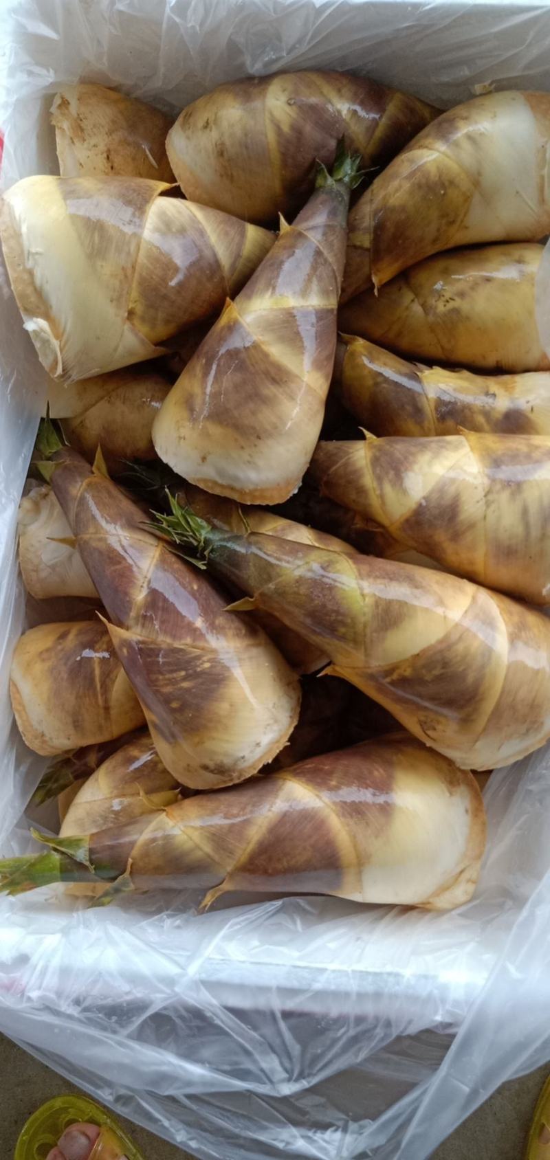 马蹄笋是夏天才有的美好食才，和肉简单一炒真香，是美好搭档