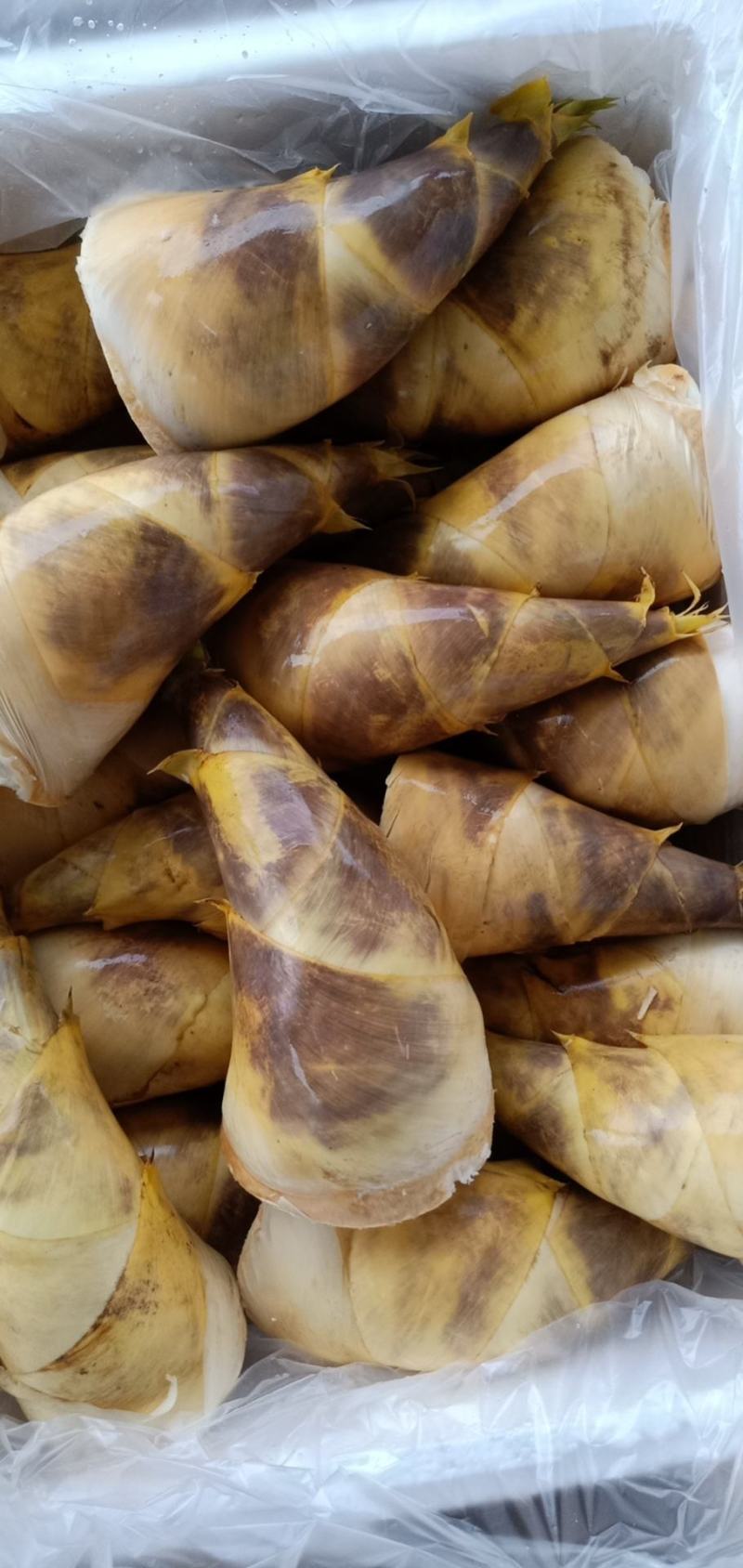 马蹄笋是夏天才有的美好食才，和肉简单一炒真香，是美好搭档