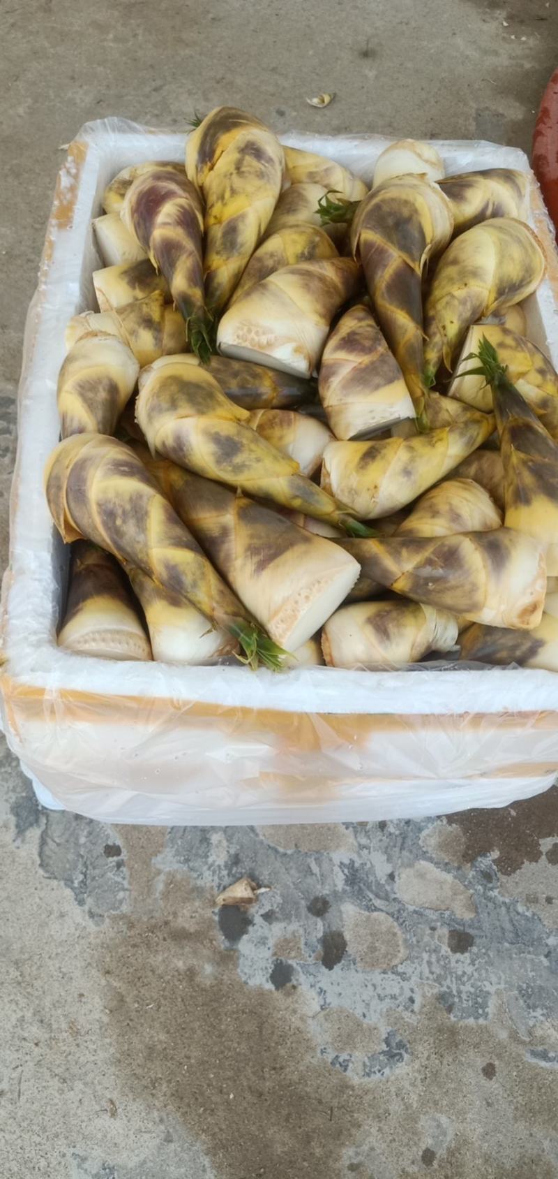 马蹄笋产地直销，价钱实惠，货源充足，欢迎采购