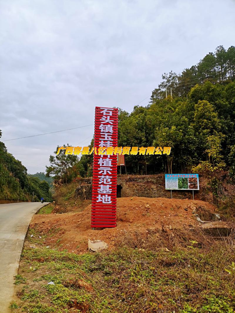 2斤起批精选红花椒梅花大红袍色选青麻椒大颗粒另卖八角桂皮