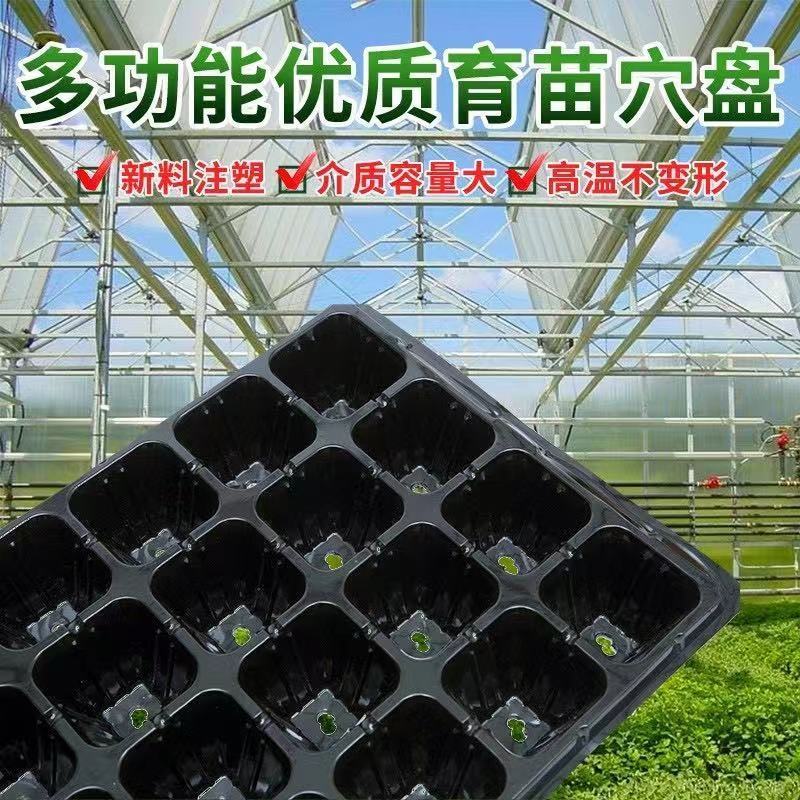 （加深穴盘）草莓可使用保质保量量大从优