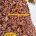 2斤起批国产特绿小茴香颗粒饱满卤水香料调料另卖八角花椒