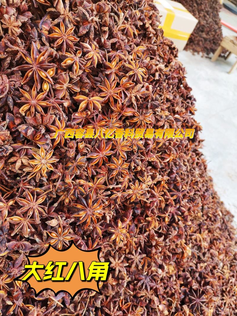 2斤起批国产特绿小茴香颗粒饱满卤水香料调料另卖八角花椒