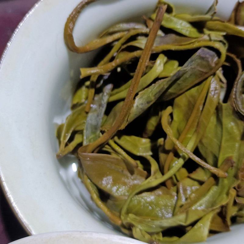 头春古树茶