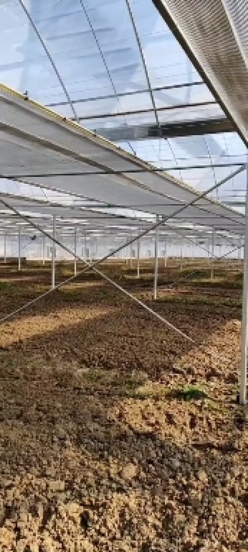 连栋蔬菜大棚成套大棚配件大全骨架全套简易连体花卉农业草莓
