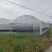 连栋蔬菜大棚成套大棚配件大全骨架全套简易连体花卉农业草莓