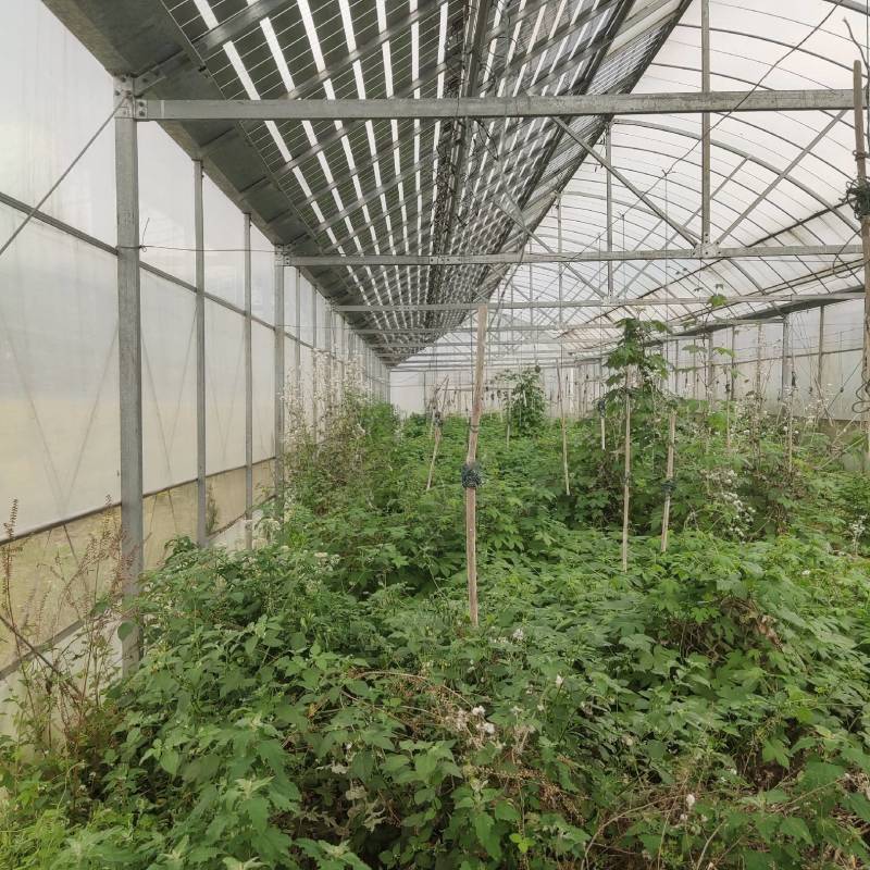 连栋蔬菜大棚成套大棚配件大全骨架全套简易连体花卉农业草莓